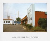 Joel Sternfeld, First Pictures, English Edition