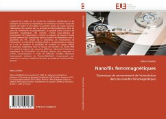 Cover Nanofils ferromagnétiques