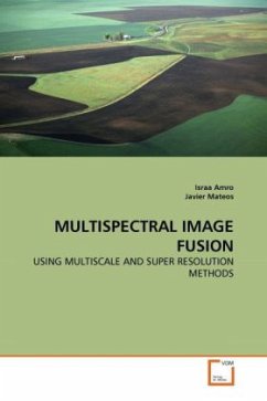 MULTISPECTRAL IMAGE FUSION - Amro, Israa;Mateos, Javier