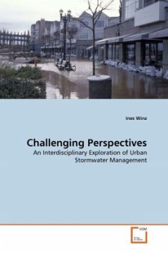 Challenging Perspectives - Winz, Ines