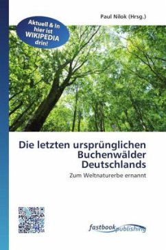 Die letzten ursprünglichen Buchenwälder Deutschlands
