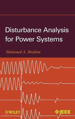 Disturbance Analysis - Ibrahim, Mohamed A.
