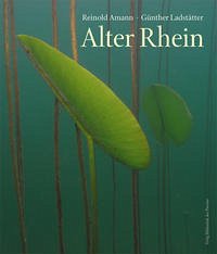 Alter Rhein - Amann, Reinold