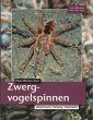 Zwergvogelspinnen - Bild 1