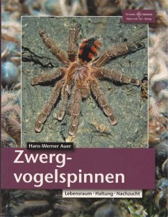 Zwergvogelspinnen - Auer, Hans-Werner