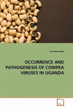 OCCURRENCE AND PATHOGENESIS OF COWPEA VIRUSES IN UGANDA - Abel, Arinaitwe