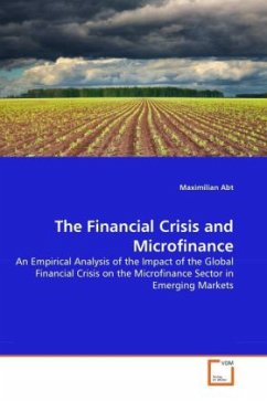 The Financial Crisis and Microfinance - Abt, Maximilian