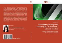 Variabilité génétique de l¿olivier (Olea europaea L.) au nord tunisien - Hannachi, Hédia
