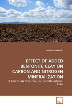 EFFECT OF ADDED BENTONITE CLAY ON CARBON AND NITROGEN MINERALIZATION - Borkotoki, Bikram