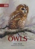 Owls Owls