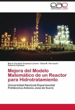 Mejora del Modelo Matemático de un Reactor para Hidrotratamiento