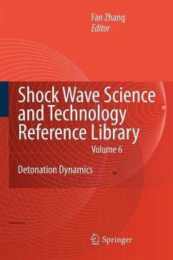 Shock Waves Science and Technology Library, Vol. 6