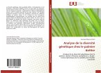 Analyse de la diversité génétique chez le palmier dattier