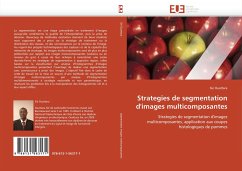 Strategies de segmentation d'images multicomposantes - Ouattara, Sié