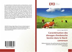 Caractérisation des élevages d'embouche bovine dans le Nord-cameroun - NJEHOYA, Clémence-Aggy