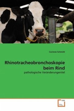 Rhinotracheobronchoskopie beim Rind - Schmitt, Corinne