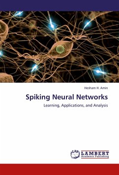 Spiking Neural Networks