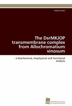 Cover The DsrMKJOP transmembrane complex from Allochromatium vinosum