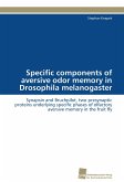 Specific components of aversive odor memory in Drosophila melanogaster