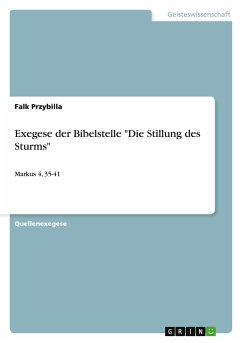 Exegese der Bibelstelle &quote;Die Stillung des Sturms&quote;