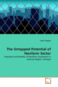 Cover The Untapped Potential of Nonfarm Sector