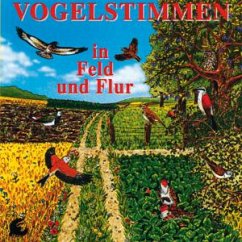 Vogelstimmen In Feld Und Flur - Diverse