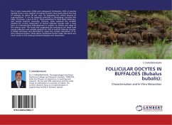 FOLLICULAR OOCYTES IN BUFFALOES (Bubalus bubalis): - Chandrahasan, C.