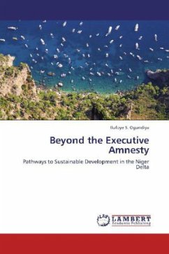 Beyond the Executive Amnesty