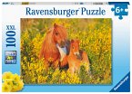 Shetlandponys (Kinderpuzzle)