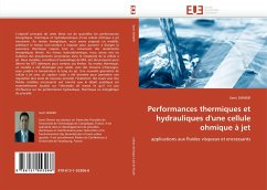 Performances thermiques et hydrauliques d'une cellule ohmique à jet - GHNIMI, Sami