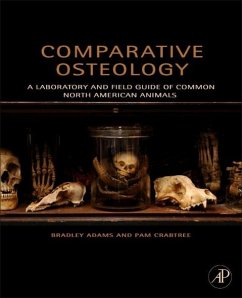 Comparative Osteology - Adams, Bradley;Crabtree, Pam