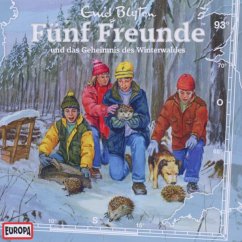 Fünf Freunde und das Geheimnis des Winterwaldes / Fünf Freunde Bd.93 (1 Audio-CD) - Blyton, Enid