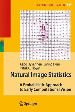 Natural Image Statistics - Hyvärinen, Aapo;Hurri, Jarmo;Hoyer, Patrick O.