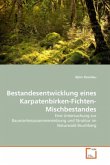 Bestandesentwicklung eines Karpatenbirken-Fichten-Mischbestandes