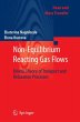 Non-Equilibrium Reacting Gas Flows - Bild 1