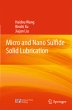 Micro and Nano Sulfide Solid Lubrication - Bild 1