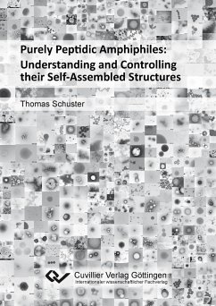 Purely Peptidic Amphiphiles: Understanding and Controlling their Self-Assembled Structures - Schuster, Thomas