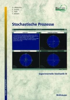 Stochastische Prozesse, 1 CD-ROM m. 2 Begleitheften