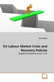 EU Labour Market Crisis and Recovery Policies