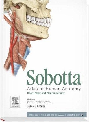 Head, Neck and Neuroanatomy / Atlas of Human Anatomy 3 von Johannes