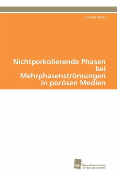 Cover Nichtperkolierende Phasen bei Mehrphasenströmungen in porösen Medien