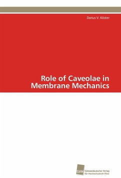 Role of Caveolae in Membrane Mechanics - Köster, Darius V.