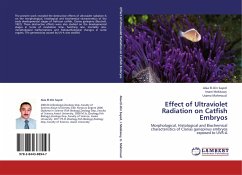 Effect of Ultraviolet Radiation on Catfish Embryos
