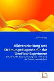Bildverarbeitung und Strömungsdiagnose für das GeoFlow-Experiment