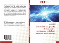 Simulation aux grandes échelles pour la combustion turbulente - Bouras, Fethi;Soudani, Azeddine;Si Ameur, Mohamed