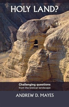 Holy Land - Challenging Questions from the Biblical Landscape - Mayes, Andrew D. H.