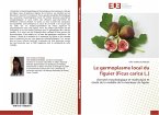 Le germoplasme local du figuier (Ficus carica L.)