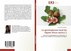 Le germoplasme local du figuier (Ficus carica L.) - SADDOUD DEBBABI, OLFA