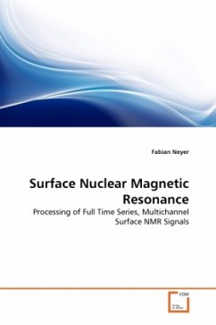 Surface Nuclear Magnetic Resonance - Neyer, Fabian