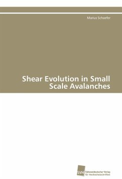 Shear Evolution in Small Scale Avalanches - Schaefer, Marius